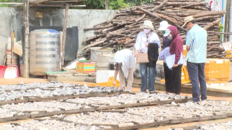 Giám sát v&ecirc;̀ lĩnh vực thủy sản tr&ecirc;n địa bàn Tp. Quảng Ngãi