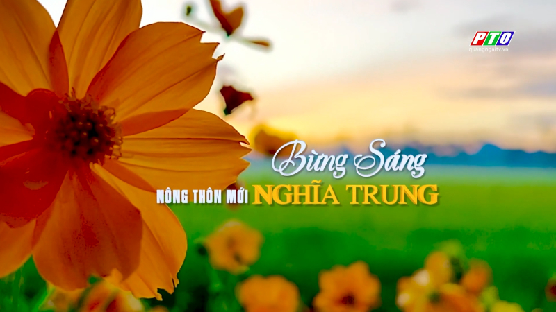 Bừng sáng nông thôn mới Nghĩa Trung 