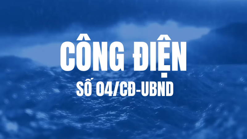 Cấm tàu, thuyền ra biển hoạt động khi vùng biển tỉnh Quảng Ngãi có gió mạnh từ cấp 6 trở lên