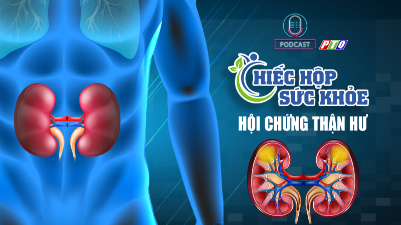 Điều trị hội chứng thận hư