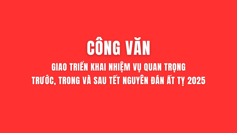 Tỉnh uỷ Quảng Ngãi giao triển khai nhiệm vụ quan trọng trước, trong và sau Tết Nguyên Đán Ất Tỵ 2025