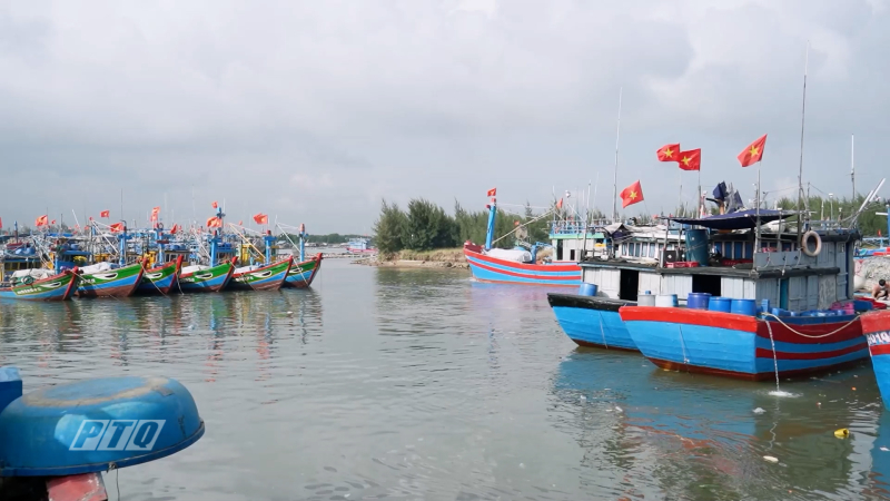 Quảng Ngãi tập trung khắc phục những tồn tại chống khai thác IUU