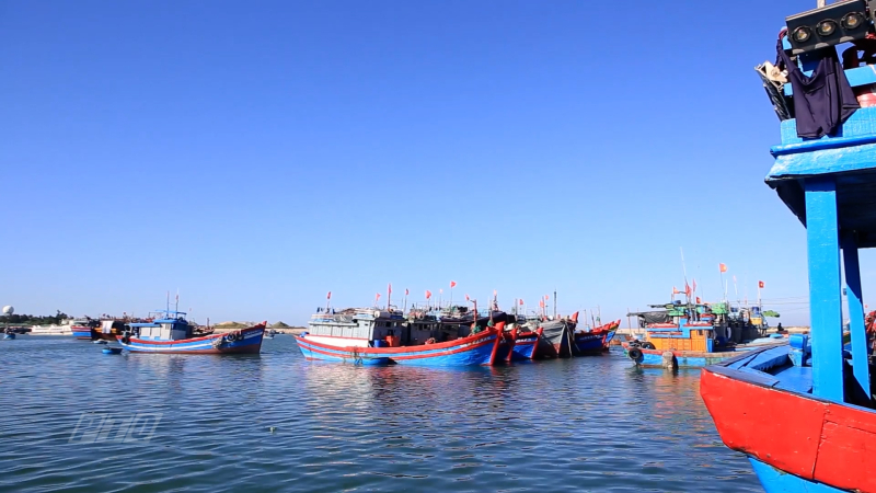 Lý Sơn tuyên truyền IUU mọi lúc, mọi nơi