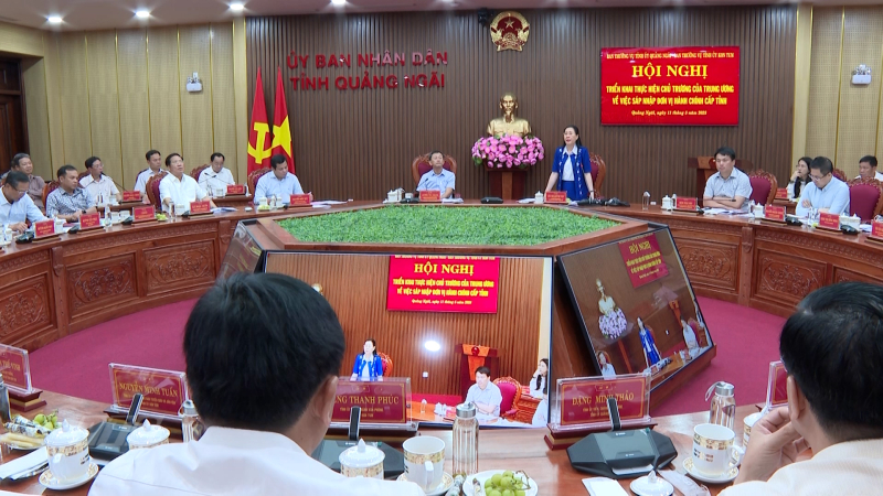 Góp ý Dự thảo báo cáo chính trị Đại hội Đảng bộ tỉnh Quảng Ngãi (mới) nhiệm kỳ 2025 - 2030