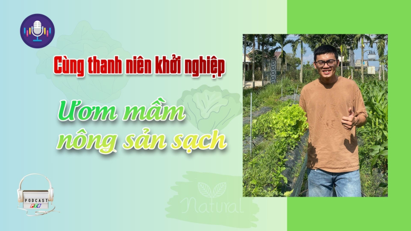 Ấn tượng với mô hình “Vườn rau 4 không”
