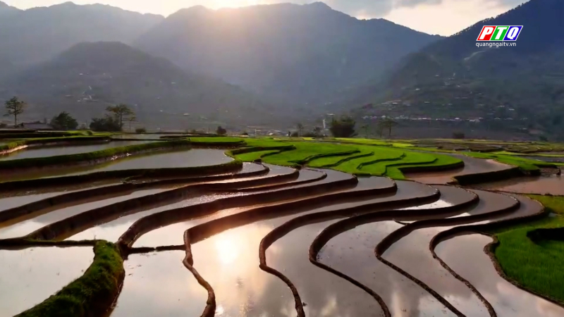 Vẻ đẹp ruộng bậc thang mùa nước đổ ở Cao Phạ