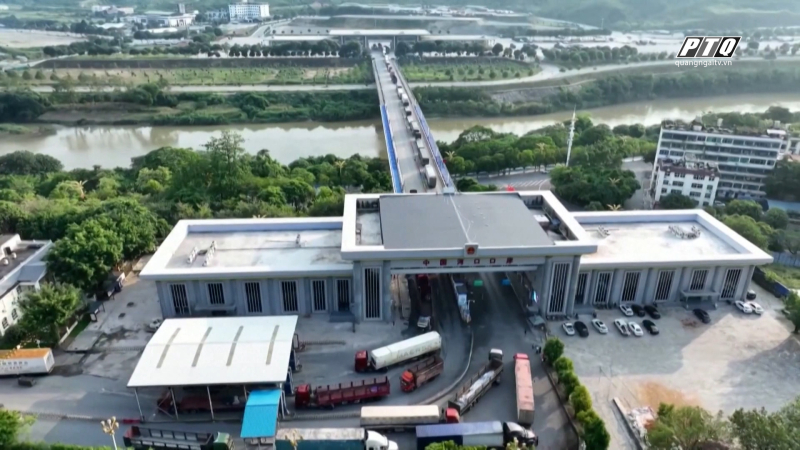 Xoài Việt Nam chiếm lĩnh thị trường Trung Quốc