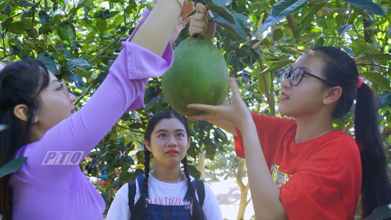 Du lịch nông nghiệp, nông thôn Quảng Ngãi phát triển chưa tương xứng 