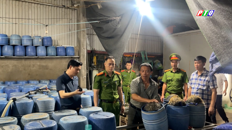 Phát hiện 02 cơ sở dùng hóa chất độc hại làm giá đỗ