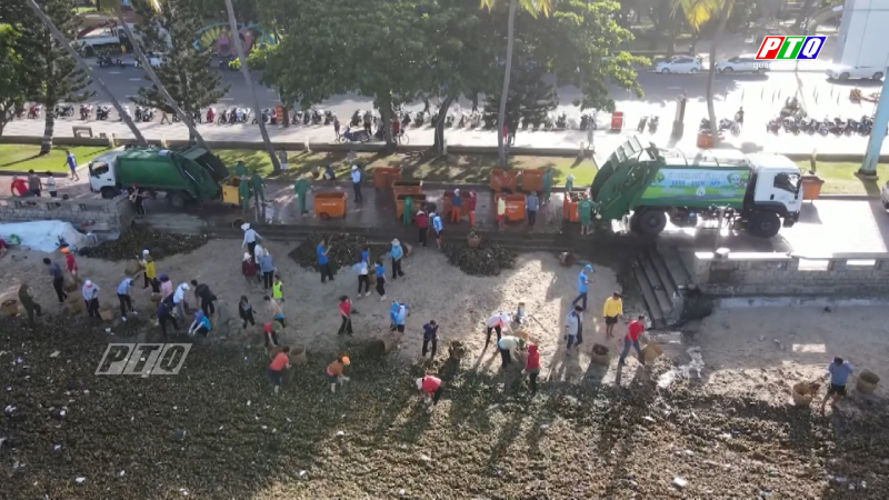 Vũng Tàu huy động hàng trăm tình nguyện viên thu gom rác đại dương