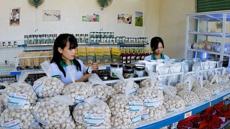 Quảng Ngãi gắn kết sản phẩm OCOP với dịch vụ du lịch nông thôn 