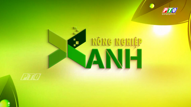 Nuôi gà theo hướng nông nghiệp tuần hòa 