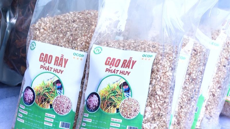 Nỗ lực phát triển sản phẩm OCOP 