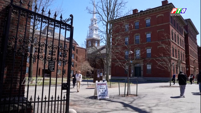 Đại học Harvard có phương án hỗ trợ sinh viên quốc tế