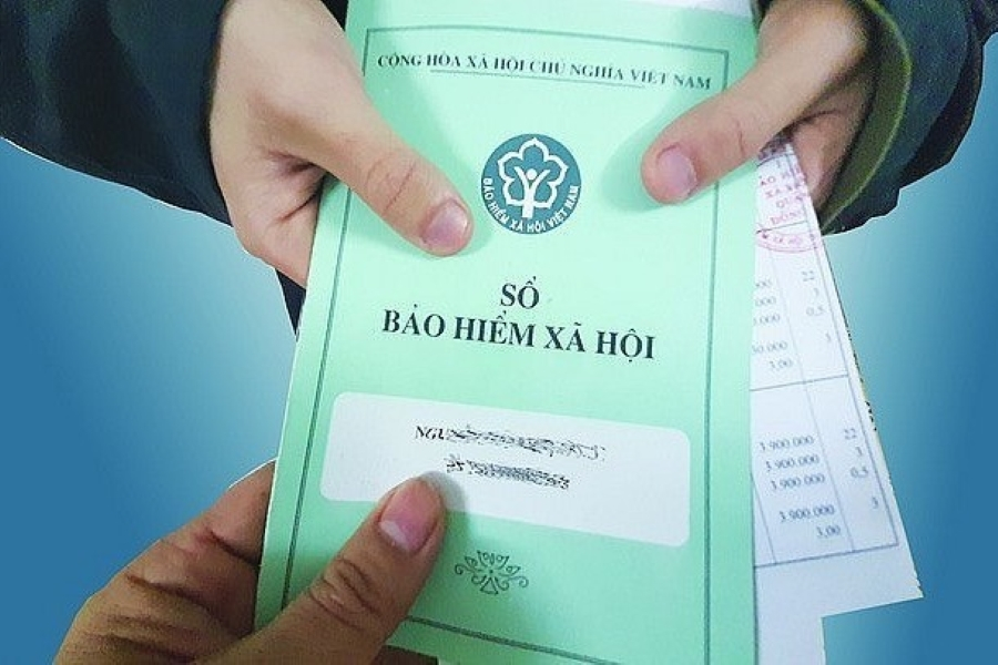 241125,van2,12485111.jpg