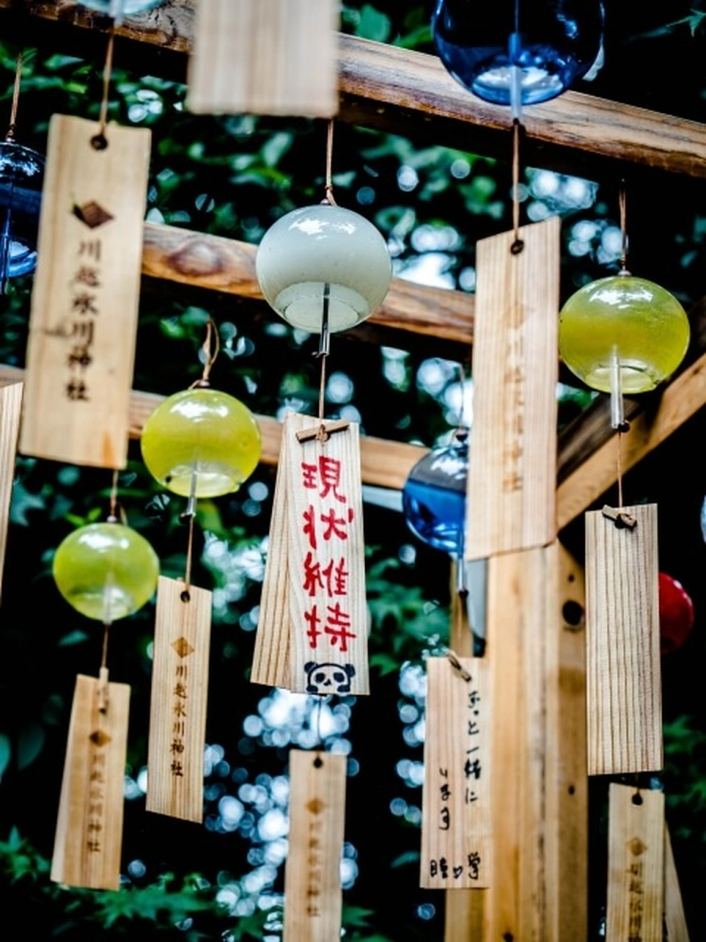 locobee,furin,kawagoe,3,1618385619666,13274421.jpg