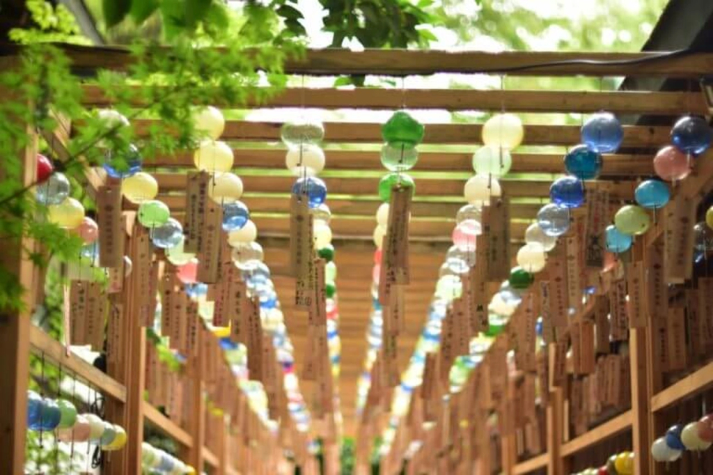 locobee,furin,kawagoe,1768,x,512,1618385547764,13274521.jpg