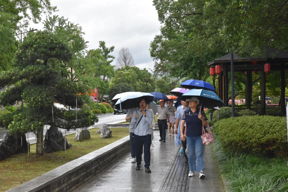 Rất nhiều du khách đến làng Dư để tham quan.