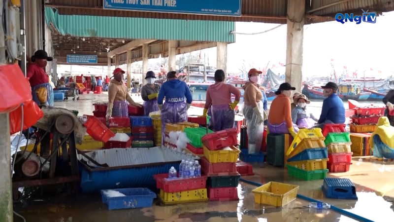 Đầu tư, nâng cấp hạ tầng cảng cá