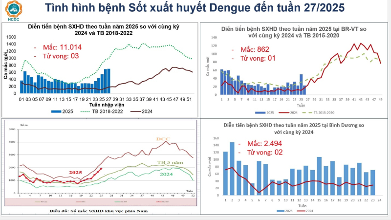 TP.Hồ Chí Minh cảnh báo sốt xuất huyết gia tăng