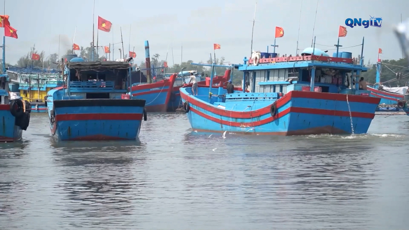 Ngư dân được mùa cá