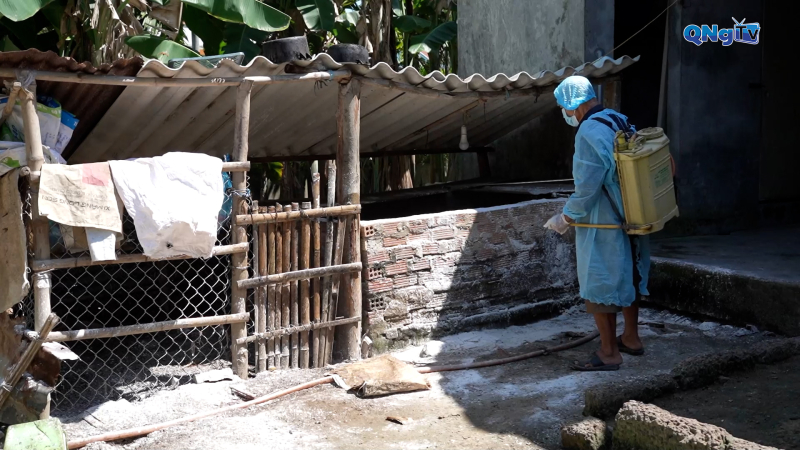 Quảng Ngãi chủ động chặn dịch tả heo châu Phi từ cơ sở 
