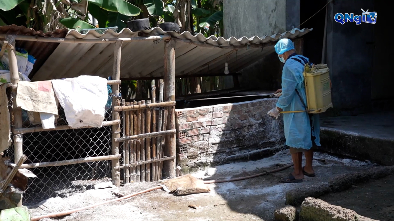 Dịch tả heo châu phi lan rộng 20 tỉnh thành