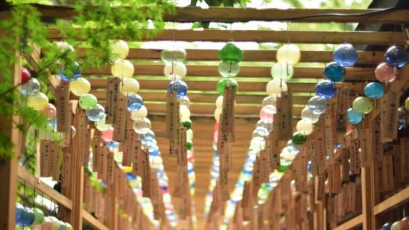 Lễ hội chuông gió, thanh âm trong trẻo của mùa hè Nhật Bản