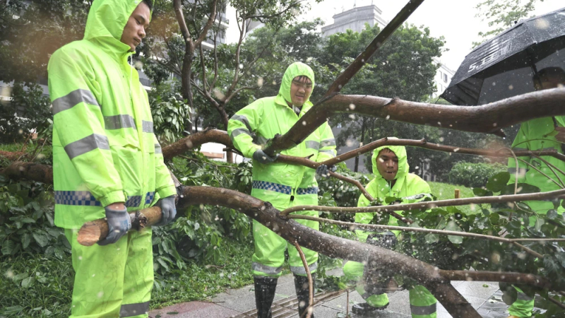 Trung Quốc triển khai nhiều biện pháp ứng phó bão Wipha