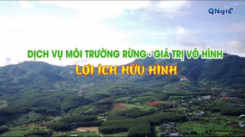 Dịch vụ môi trường rừng - giá trị vô hình, lợi ích hữu hình