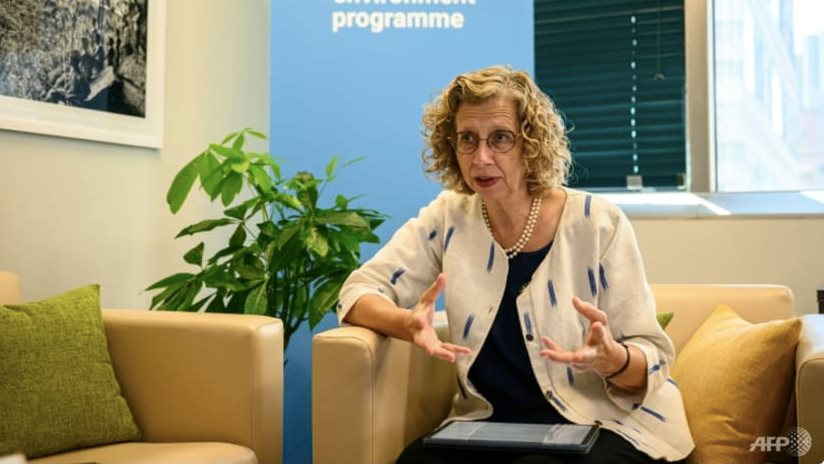 Bà Inger Andersen, Giám đốc Chương trình Môi trường Liên hợp quốc