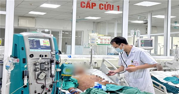 Bệnh liên cầu lợn do Streptococcus suis (S.suis) gây nên, là bệnh lây truyền từ động vật sang người và có thể gây tử vong. (Ảnh minh họa)