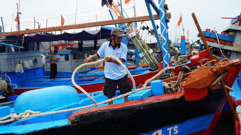 Ngư dân Quảng Ngãi di chuyển tàu thuyền vào các khu vực trú ẩn an toàn, phòng tránh bão số 5.