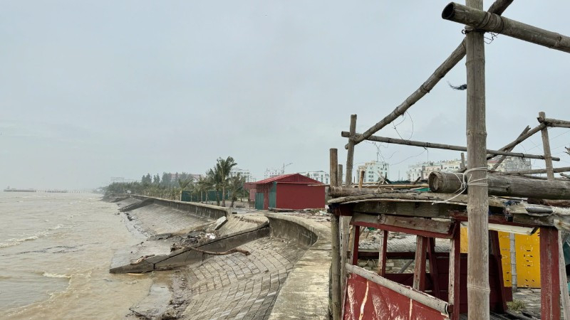 Bộ Nông nghiệp và Môi trường đề nghị Ủy ban nhân dân các tỉnh, thành phố ven biển từ Quảng Ninh đến Khánh Hòa và các bộ, ngành liên quan chủ động ứng phó với áp thấp nhiệt đới trên Biển Đông. (Ảnh minh họa