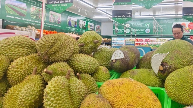 Giá sầu riêng tăng trở lại 