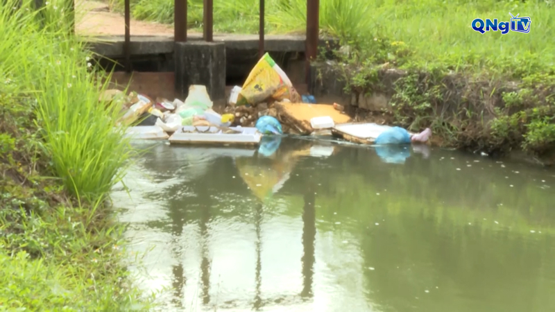 Xử lý trường hợp vứt xác động vật chết ra môi trường