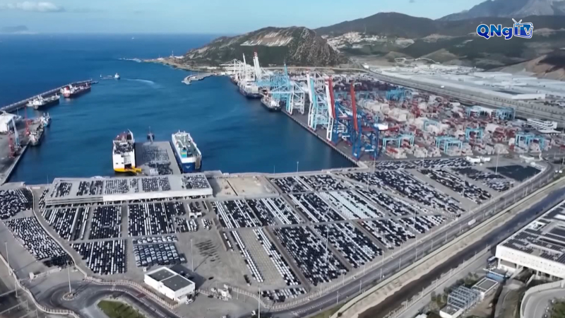 Nhiều doanh nghiệp lớn hứng chịu thiệt hại từ cuộc chiến thuế quan của Mỹ