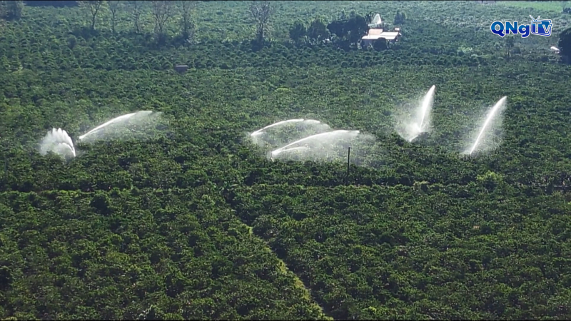 Nông dân xã Đăk Mar tự tin hội nhập và phát triển 