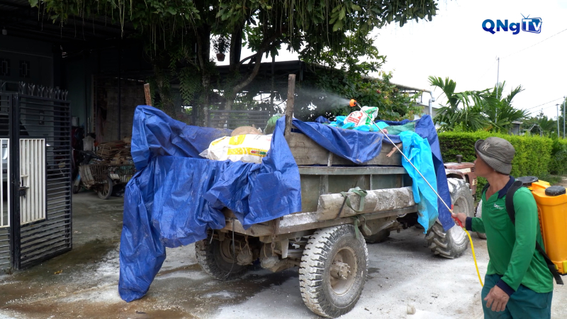 Quảng Ngãi tiêu hủy hơn 49.000 con heo mắc dịch tả châu Phi 
