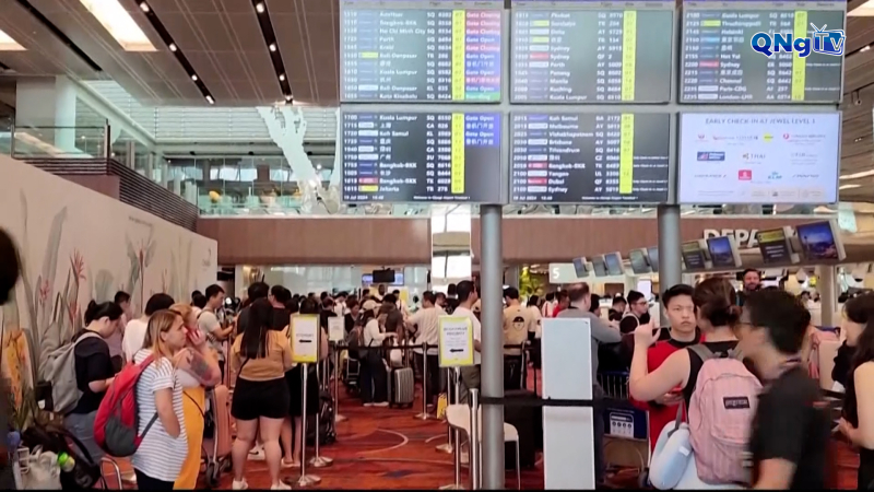 Singapore cảnh báo nguy cơ lây truyền virus chikungunya