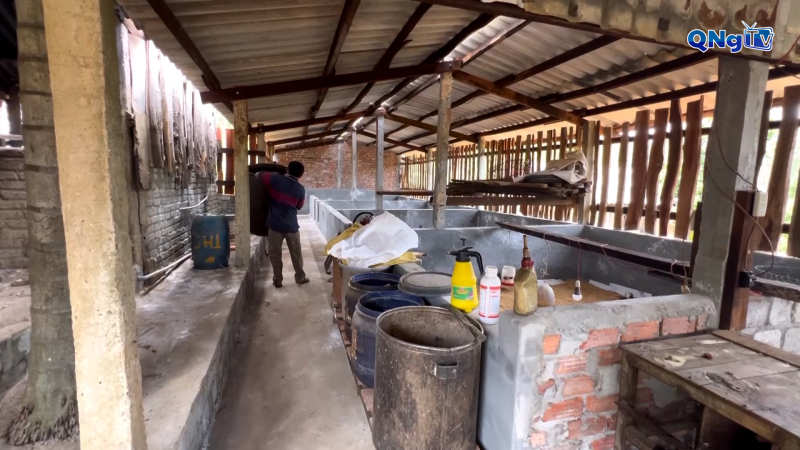 Người chăn nuôi heo mong chờ hỗ trợ để tái đàn sau dịch