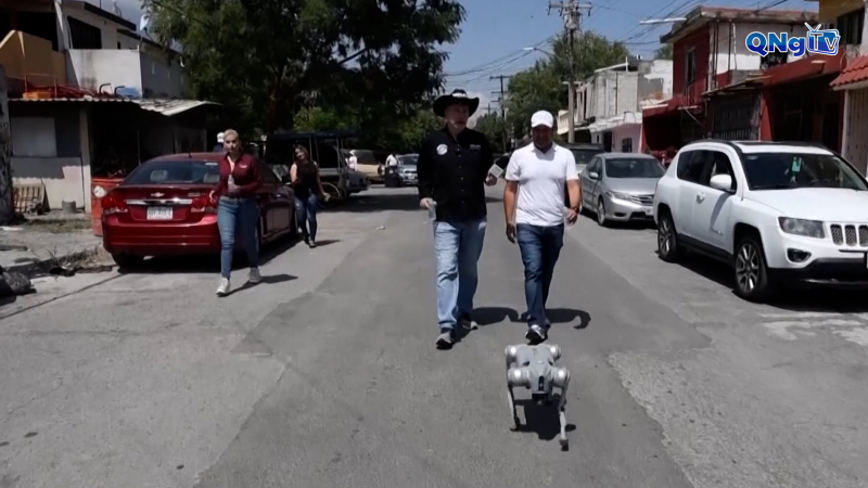 Chó robot nâng cao nhận thức về đối đãi với động vật