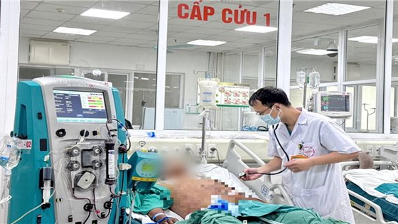 Tăng cường công tác phòng, chống bệnh liên cầu lợn lây sang người