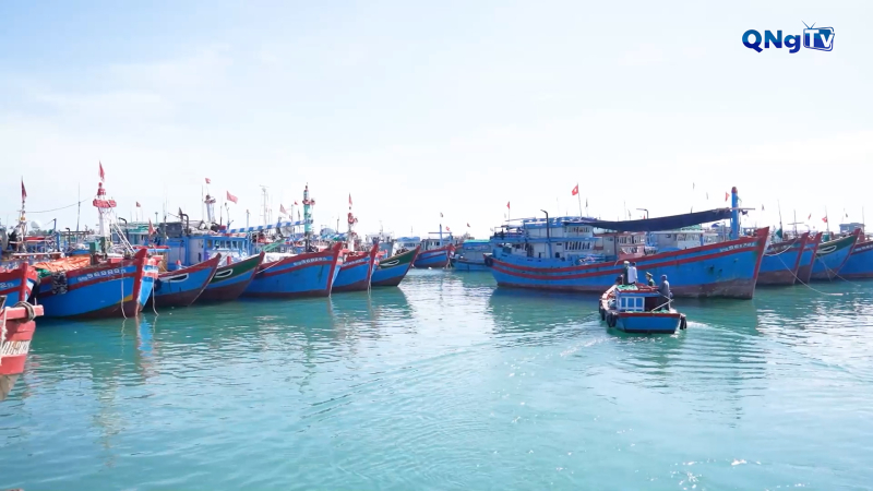 Thi đua cao điểm chống khai thác IUU