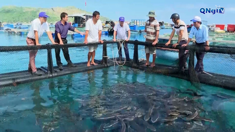 Quảng Ngãi nâng cao giá trị sản phẩm thủy sản
