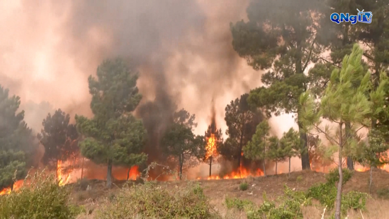 Cháy rừng tiếp tục hoành hành tại Thổ Nhĩ Kỳ, Bồ Đào Nha