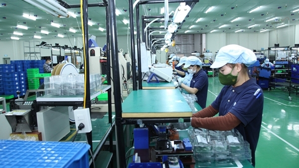 Tổng điều tra kinh tế từ 5/1/2026 