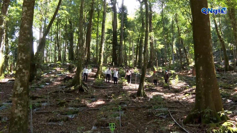 Từ con đường rừng đến con đường thoát nghèo