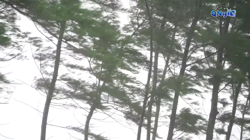 Thiệt hại do ảnh hưởng của bão số 5