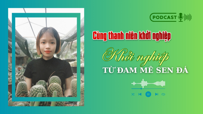 Biến sở thích thành con đường lập nghiệp 